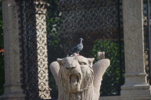 Pigeon and Griffon Brunswick Monument, Geneva, Switzerland